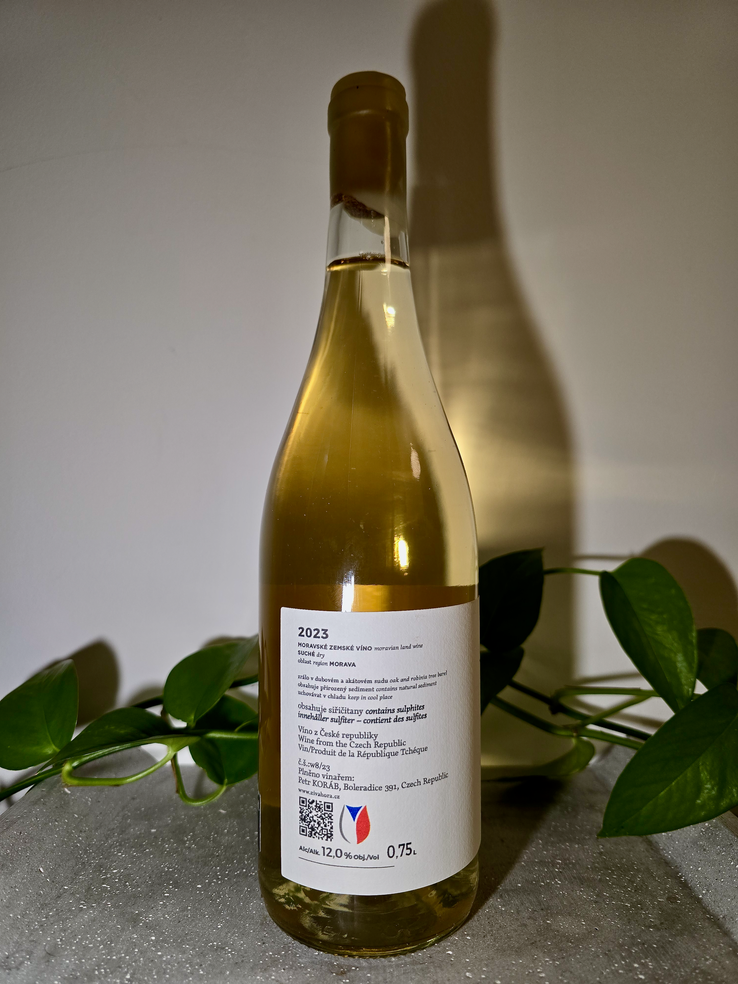 Petr Koráb Neuburger