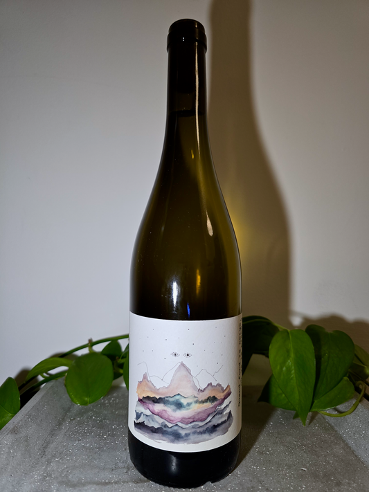 Les Errances Quand Fond La Neige