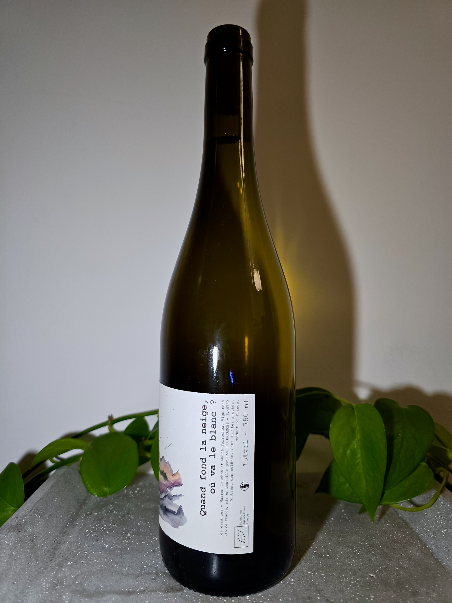 Les Errances Quand Fond La Neige