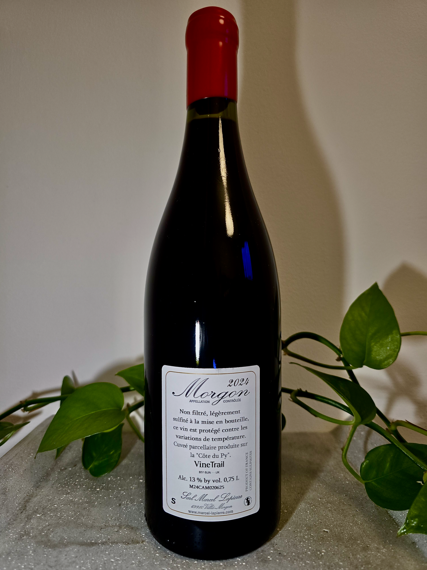 Marcel Lapierre Morgon 'Cuvee Camille'