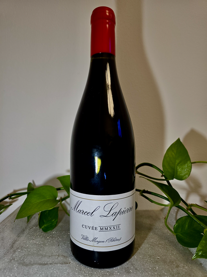 Marcel Lapierre Morgon 'Cuvee Marcel Lapierre'