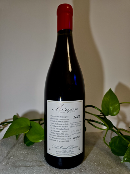 Marcel Lapierre Morgon 'Nature'