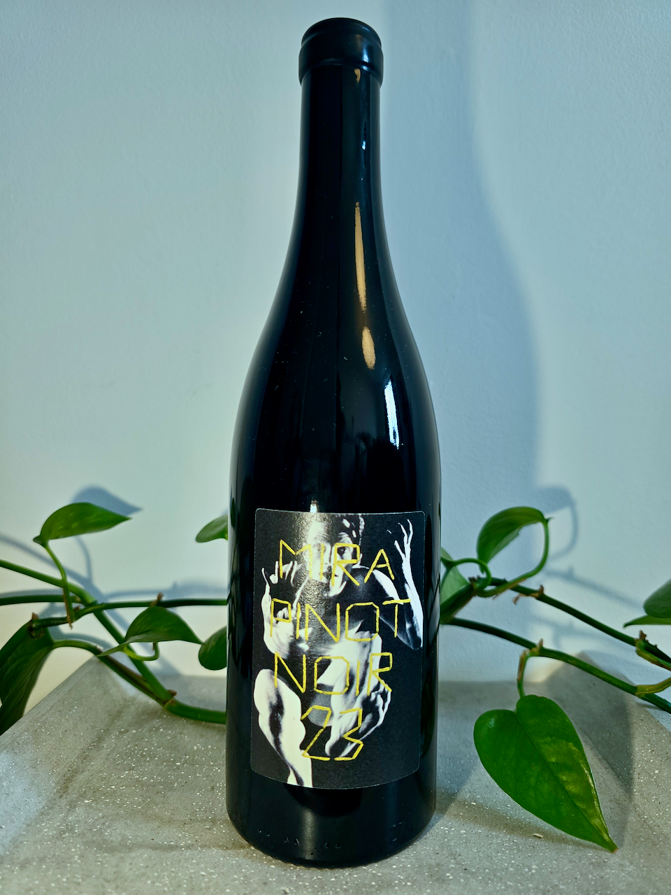 Mira Nestarec Pinot Noir