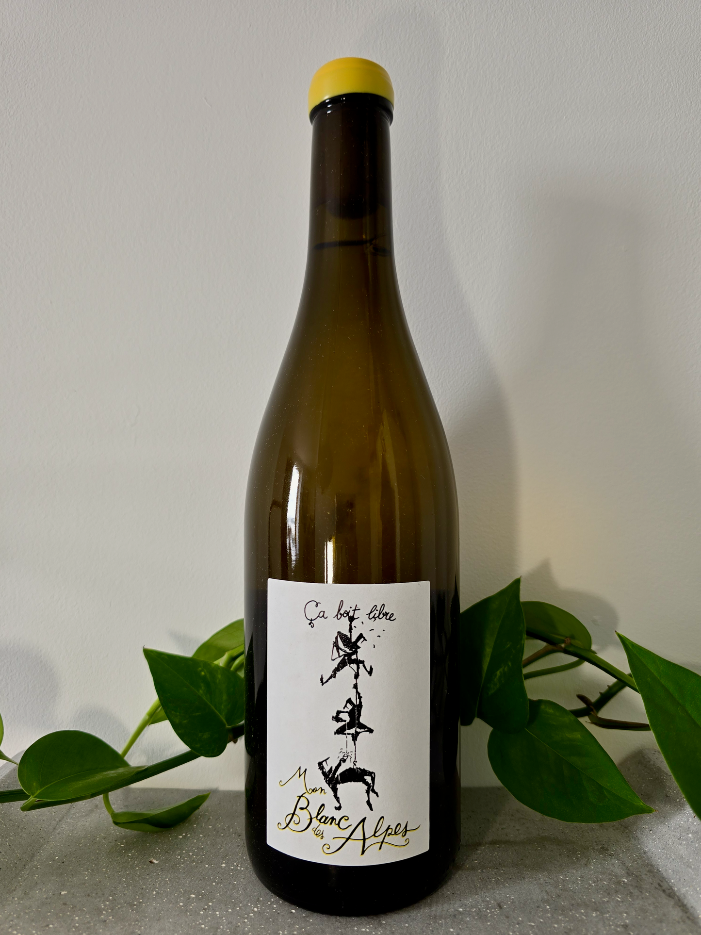 Ca Boit Libre Mon Blanc des Alpes