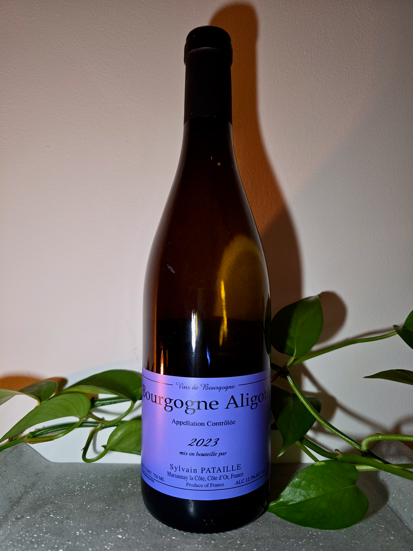 Sylvain Pataille Bourgogne Aligote