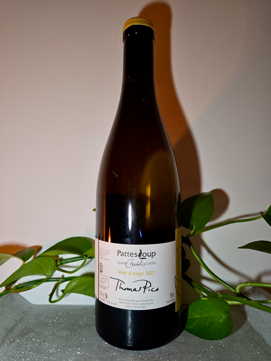 Pattes Loup Chablis Vent d'Ange (Mise Tardives)