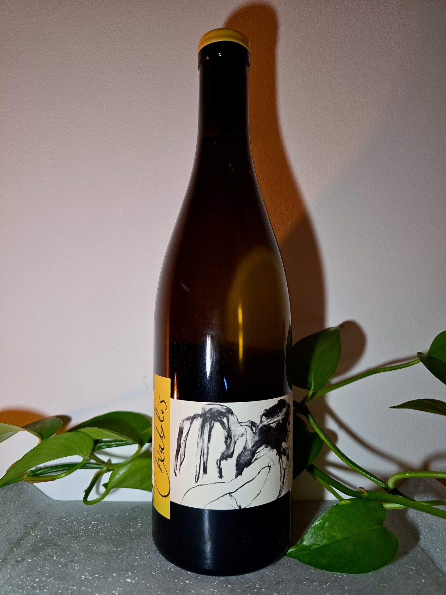 Pattes Loup Chablis Vent d'Ange (Mise Tardives)