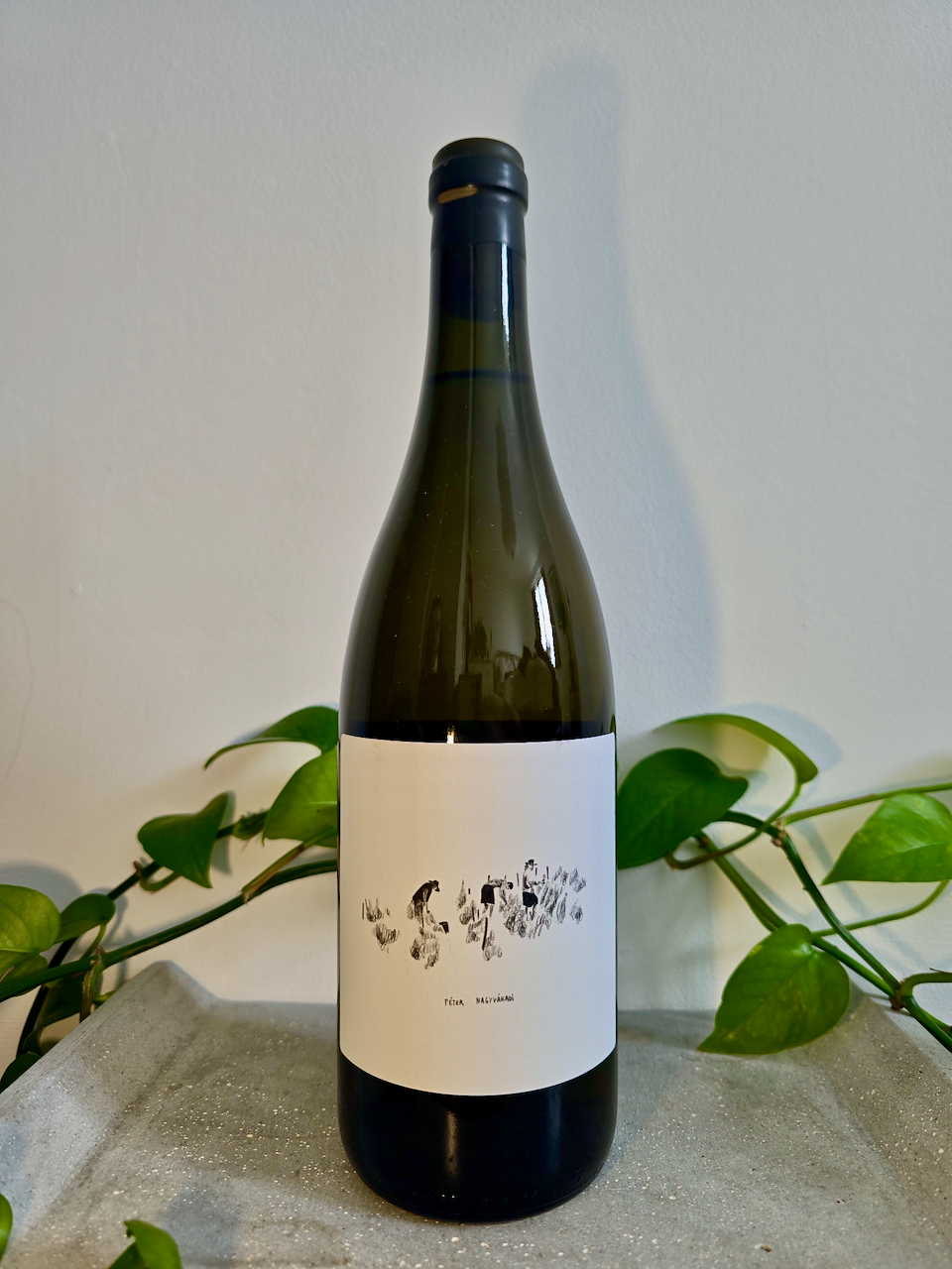 Péter Nagyváradi Furmint