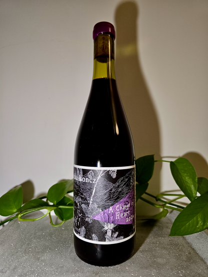 Réka Koncz A Change of Heart