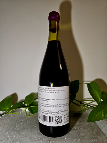 Réka Koncz A Change of Heart