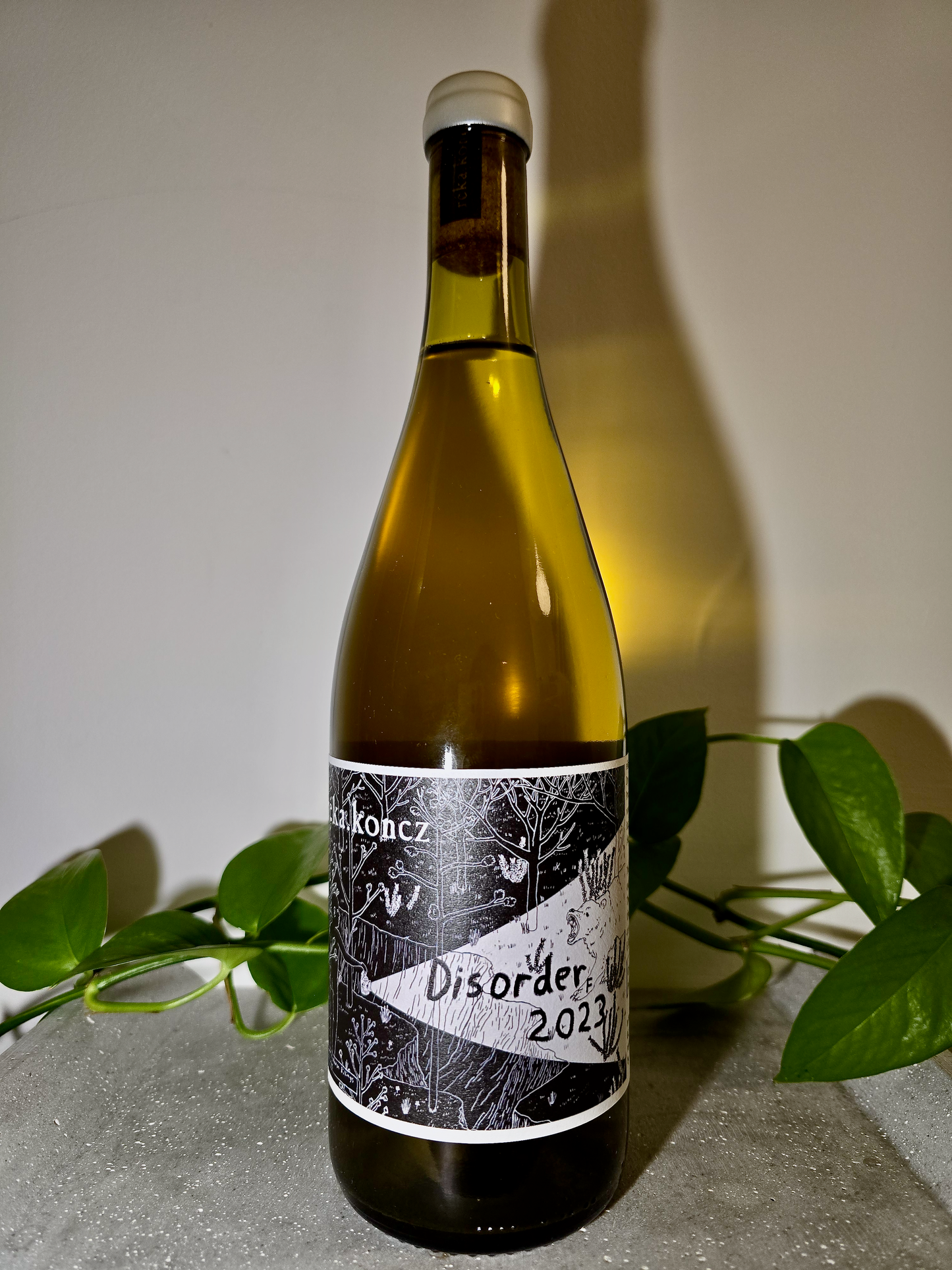 Réka Koncz Disorder F