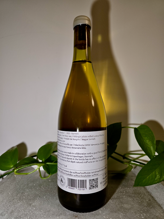 Réka Koncz Disorder F