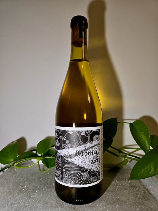 Réka Koncz Disorder H