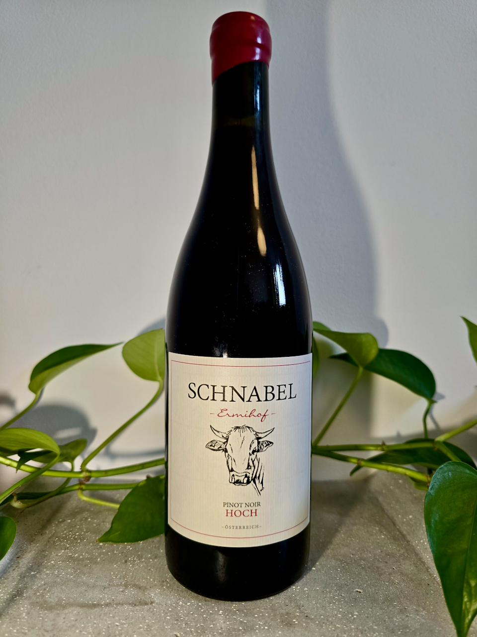 Weingut Karl Schnabel Pinot Noir Hoch