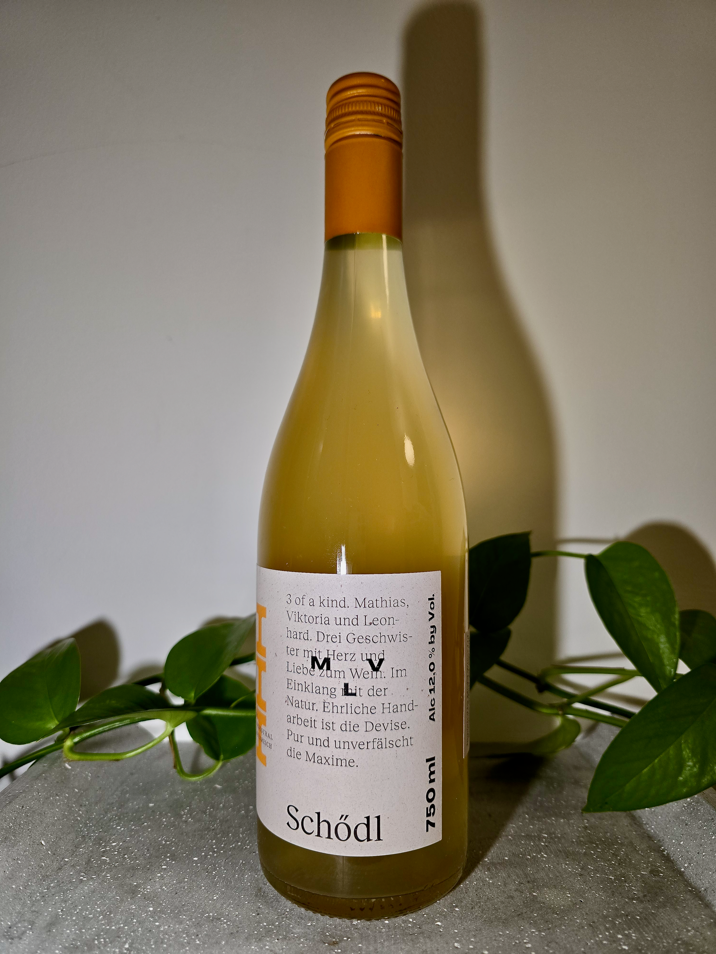 Schödl Family Safari