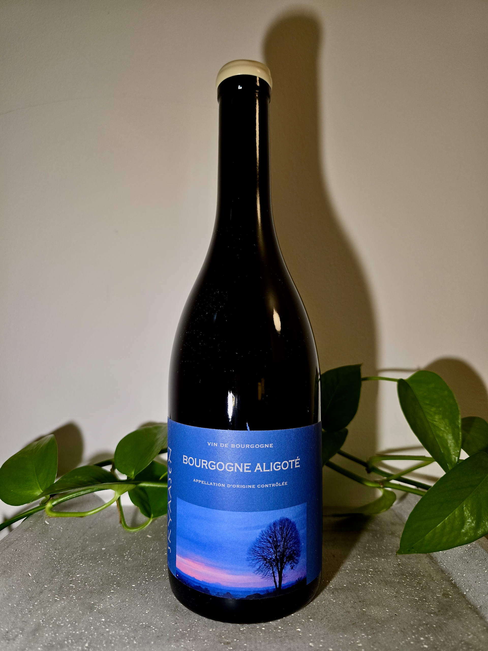ルロワ 1996 Mâcon & Bourgogne Aligoté ルロワ 1996 Mâcon