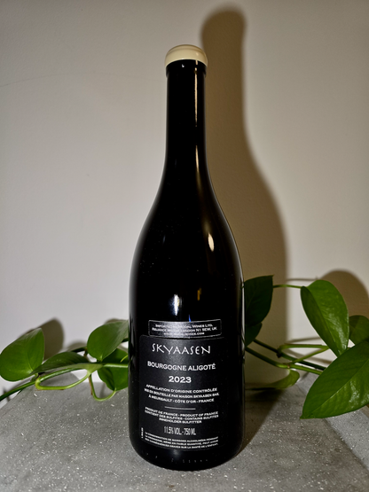Maison Skyaasen Bourgogne Aligote