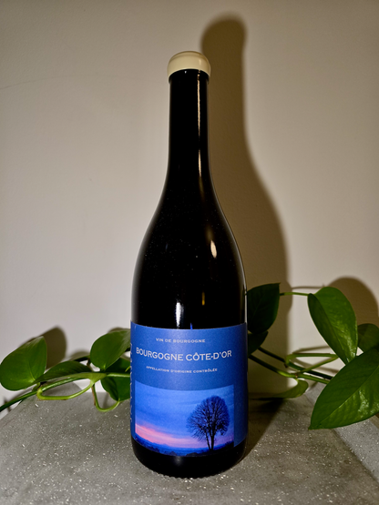 Maison Skyaasen Bourgogne Cote d'Or Blanc