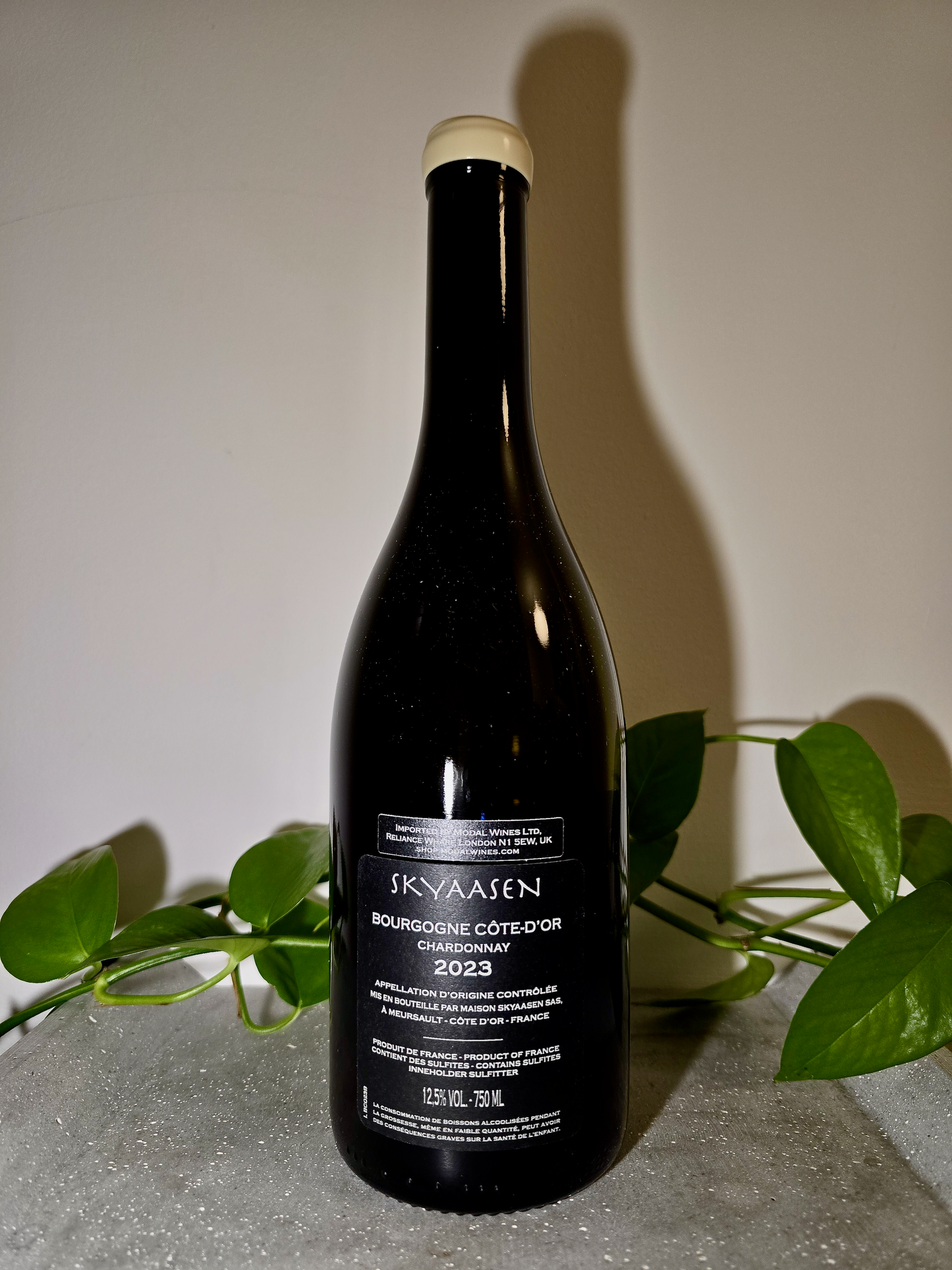 Maison Skyaasen Bourgogne Cote d'Or Blanc