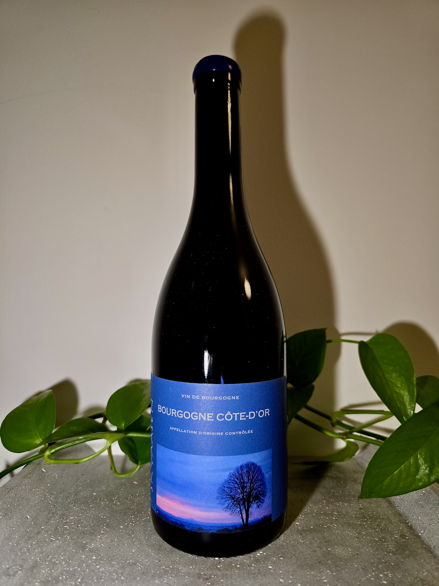 Maison Skyaasen Bourgogne Cote d'Or Rouge