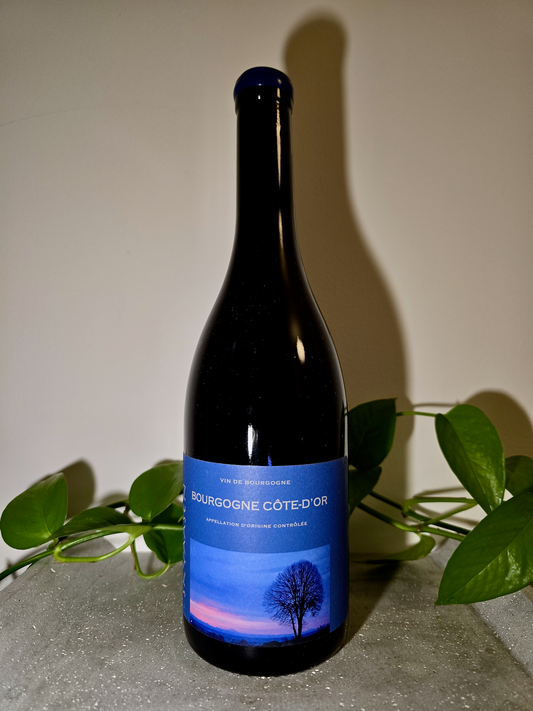 Maison Skyaasen Bourgogne Cote d'Or Rouge