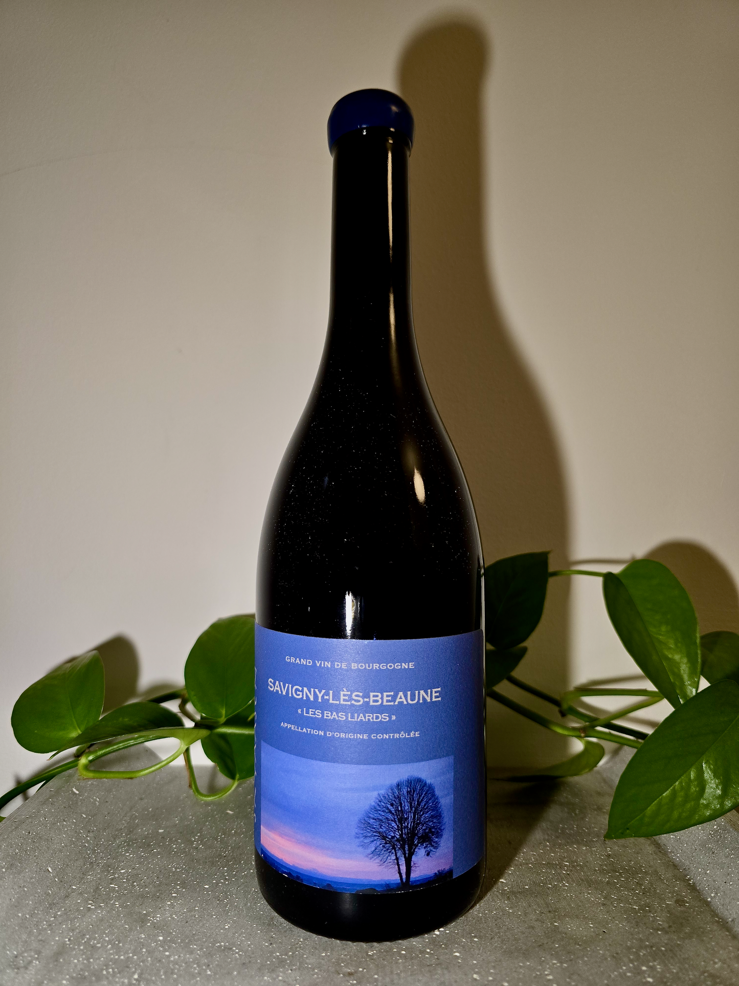 Maison Skyaasen Savigny-Les-Beaune 'Les Bas Liards'