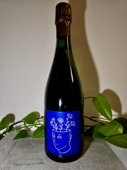 Timothée Stroebel Pour Toi Brut Nature