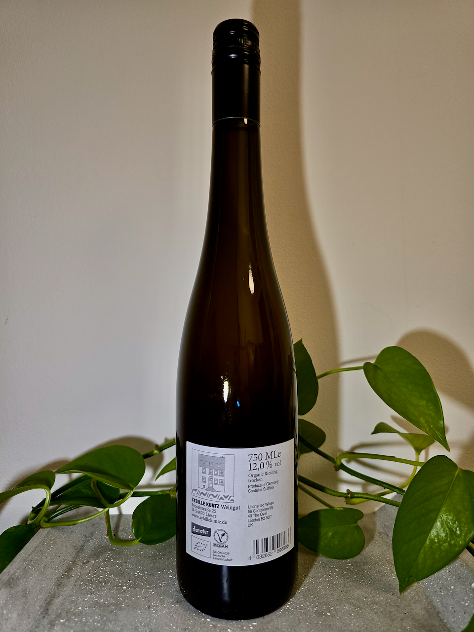 Weingut Sybille Kuntz Riesling Skin Contact