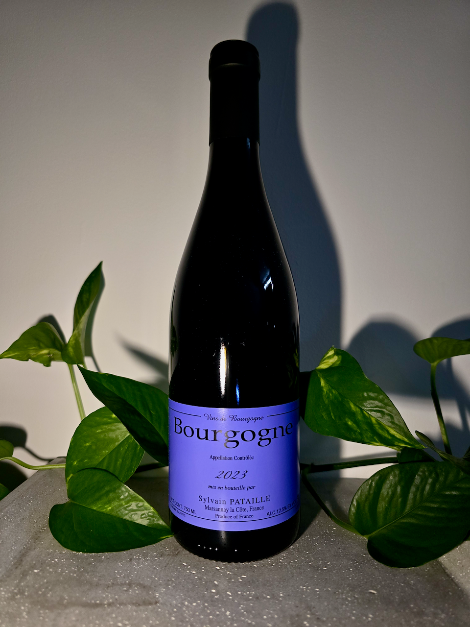 Sylvain Pataille Bourgogne Rouge