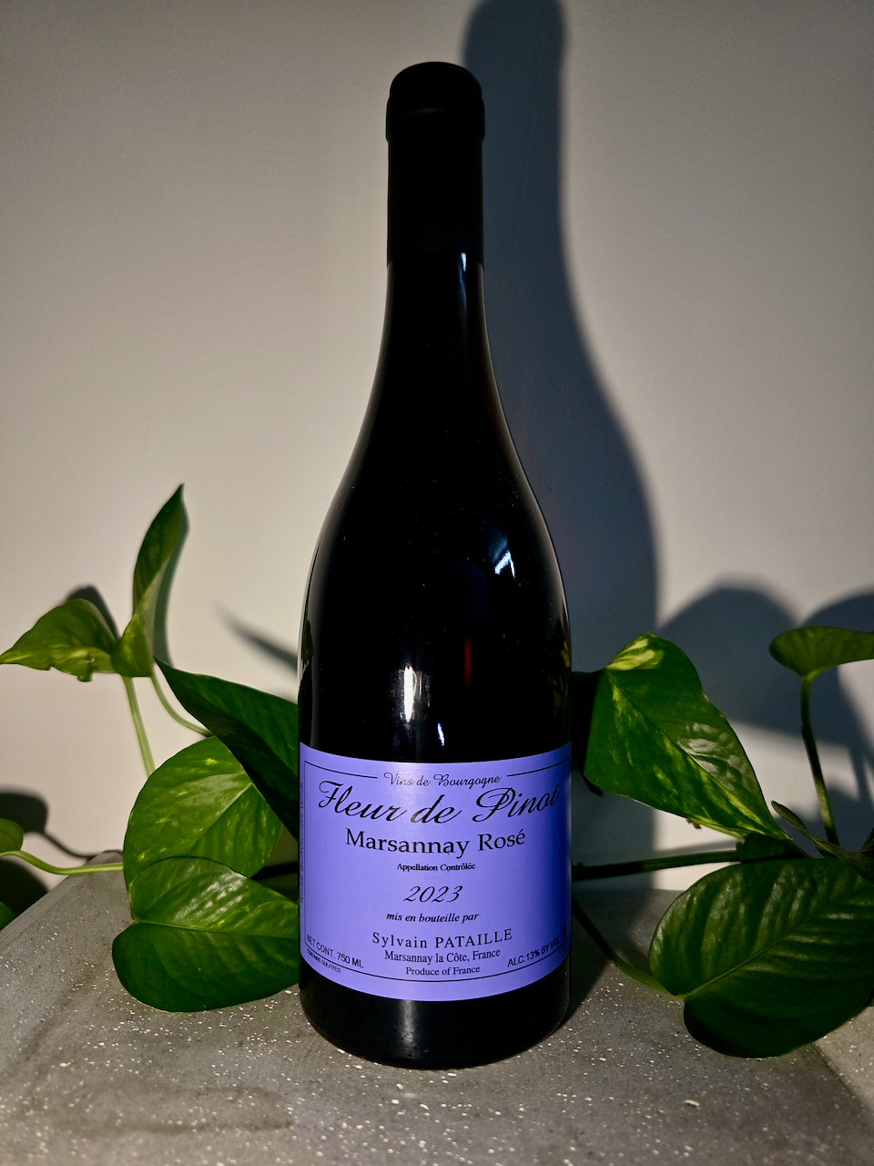 Sylvain Pataille Fleur de Pinot