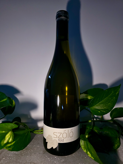 Szóló Föld