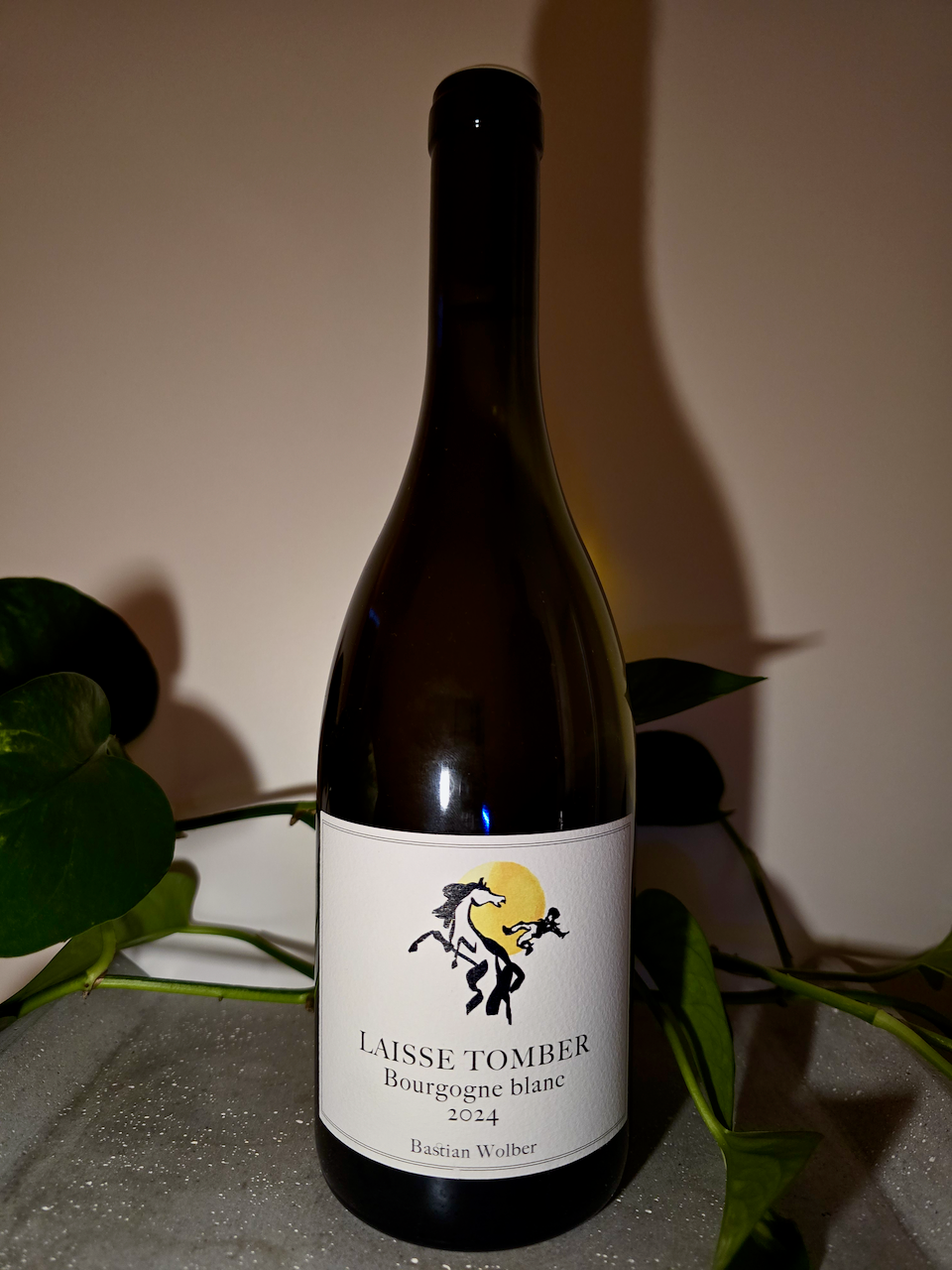 Bastian Wolber Laisse Tomber Bourgogne Blanc