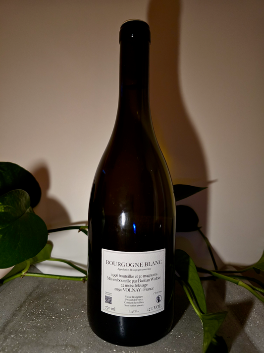 Bastian Wolber Laisse Tomber Bourgogne Blanc
