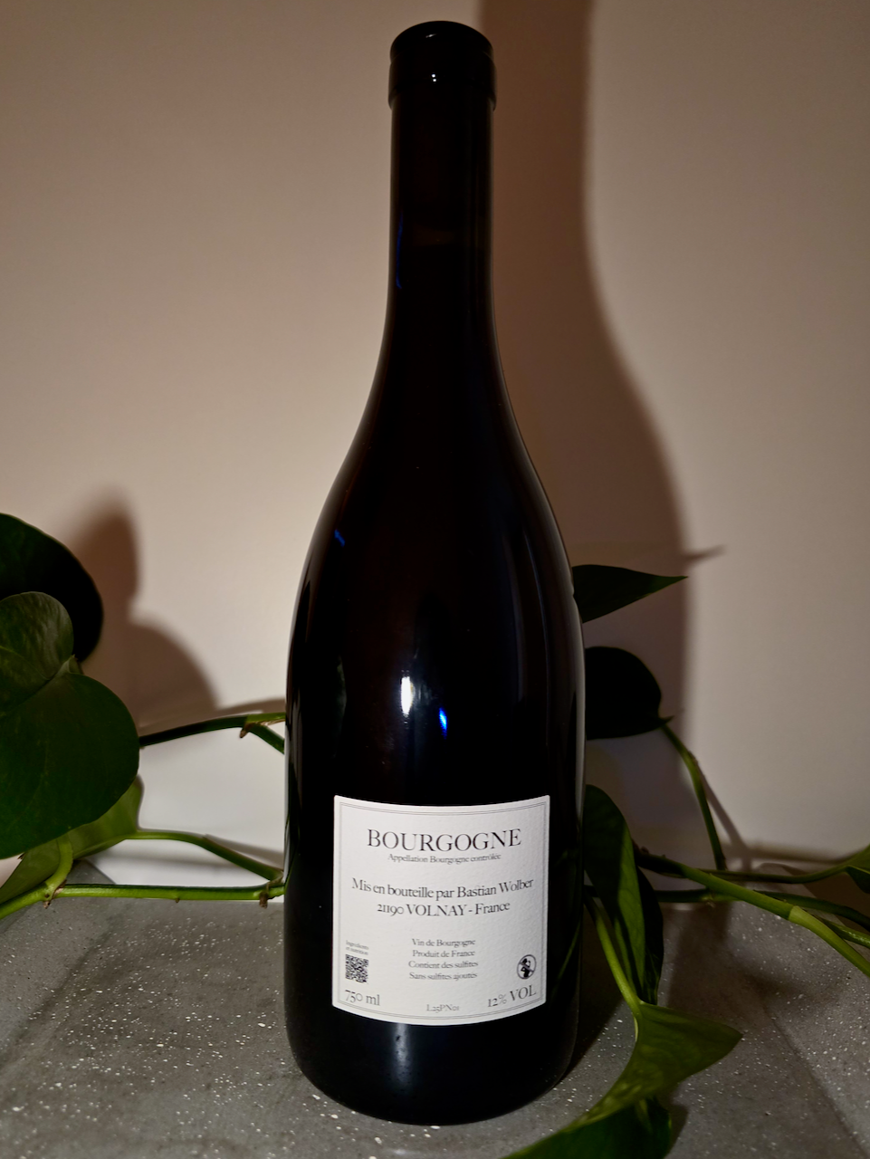 Bastian Wolber Laisse Tomber Bourgogne Rouge