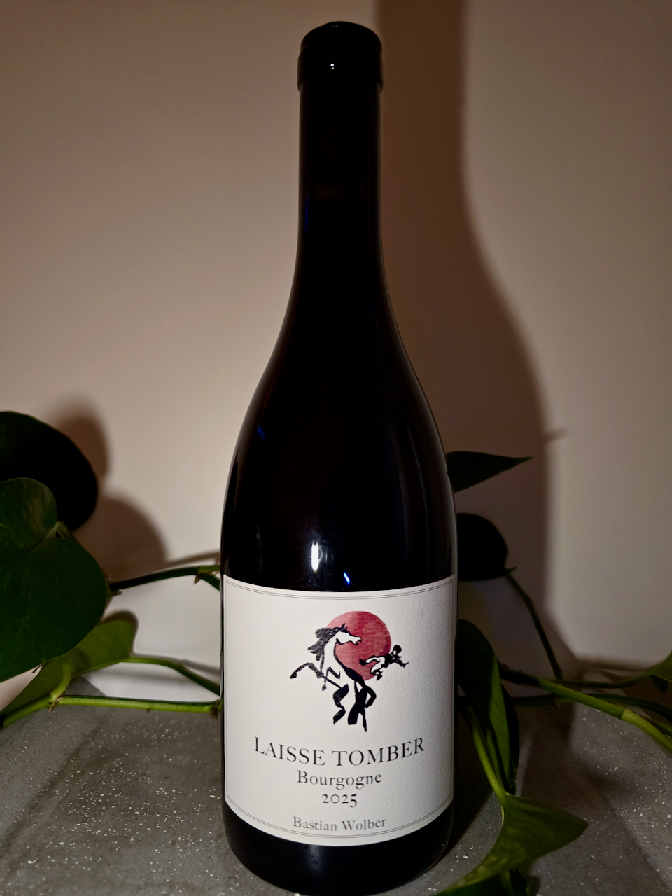 Bastian Wolber Laisse Tomber Bourgogne Rouge