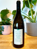 Back label of Werlitsch Sauvignon Blanc vom Opok natural wine bottle